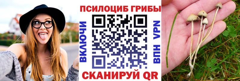 Псилоцибиновые грибы MAGIC MUSHROOMS Липецк